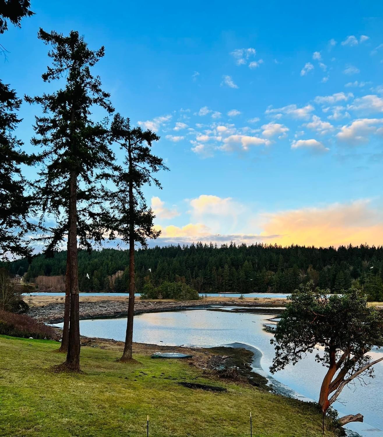 Beautiful Oceanview Retreat 2 Bedroom Port Hadlock-Irondale